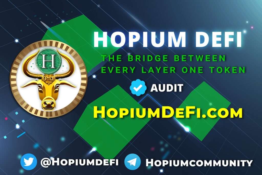 what-is-audit-in-cryptocurrency-hopium-defi